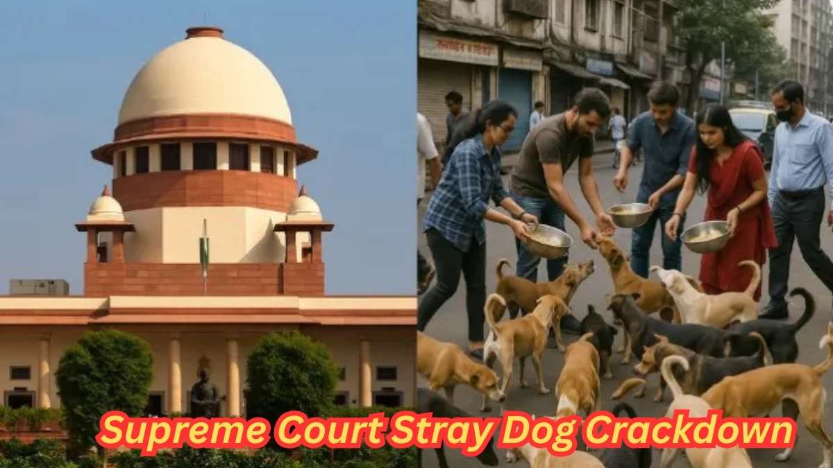 Supreme Court Stray Dog Crackdown Triggers Fierce Debate