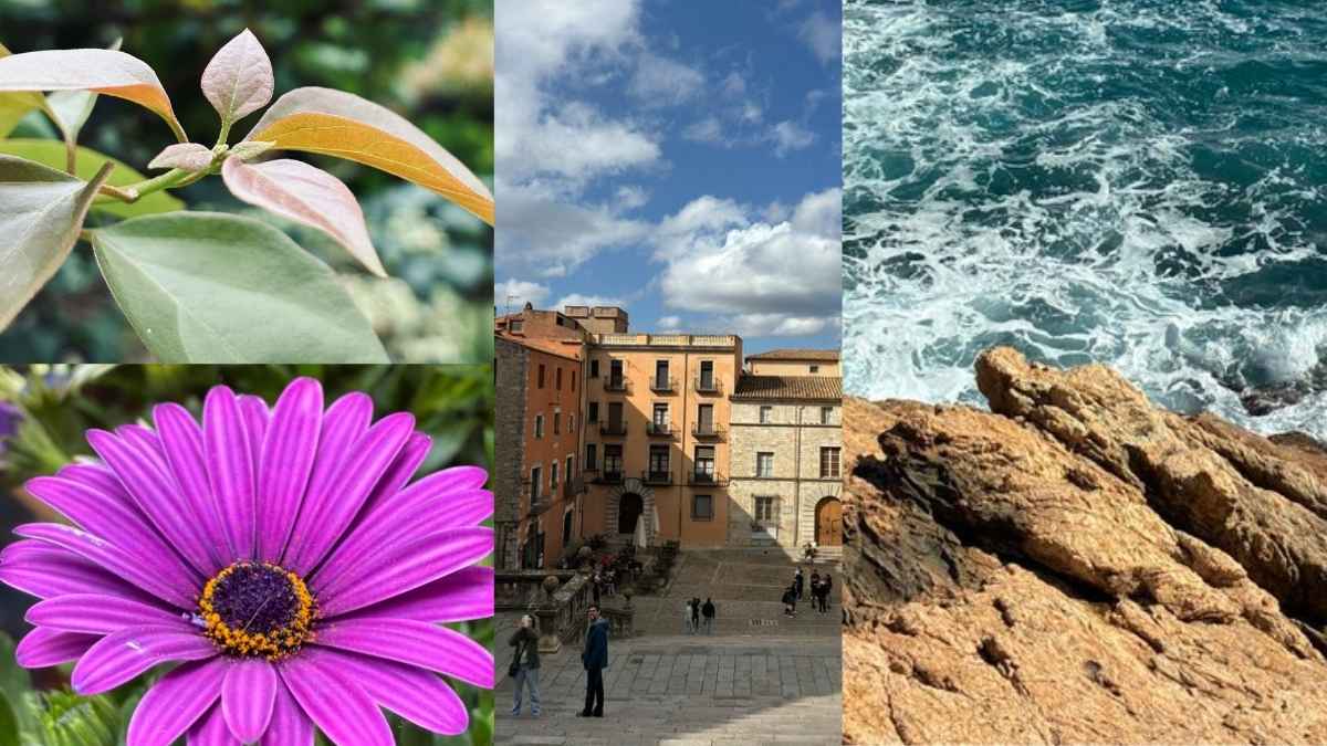 Oppo Reno 14 Pro vs iPhone 16e