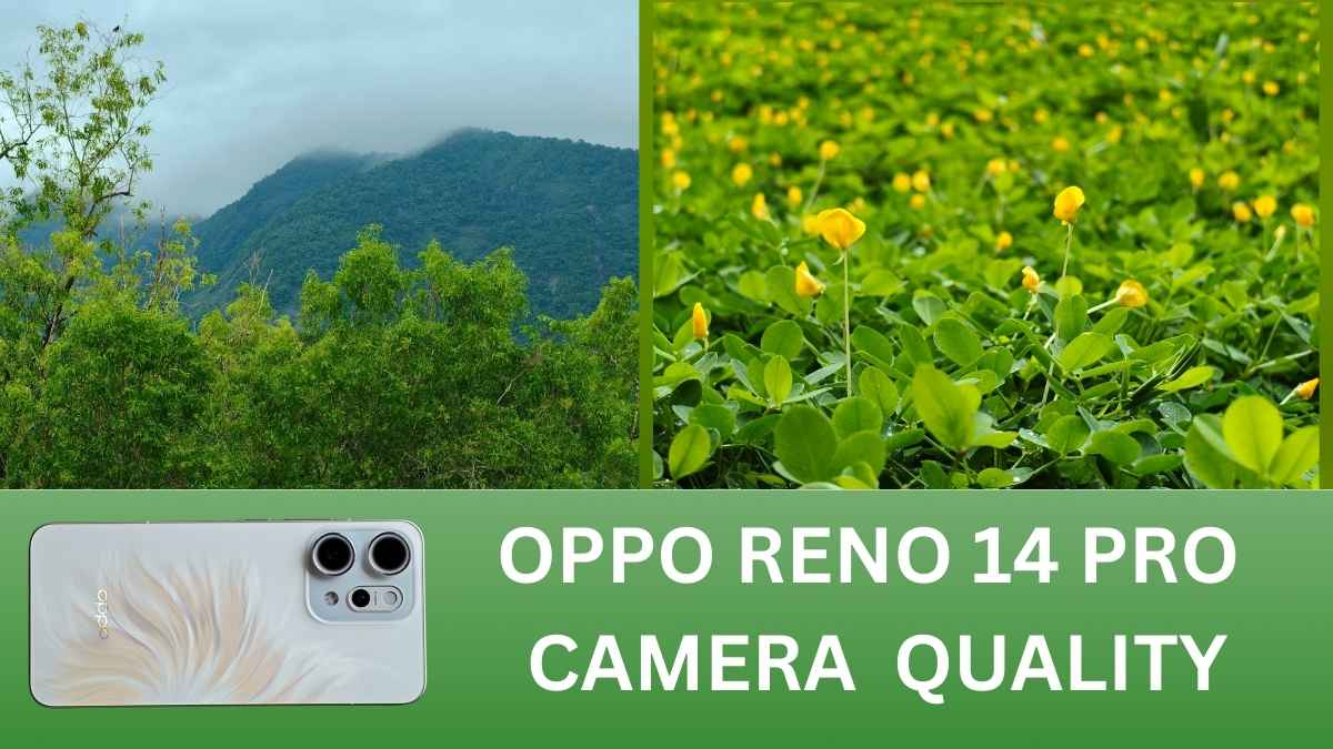 Oppo Reno 14 Pro vs iPhone 16e