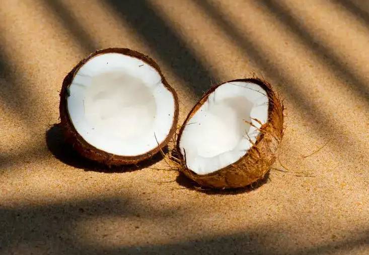 dried coconuts are strictly prohibited on flights